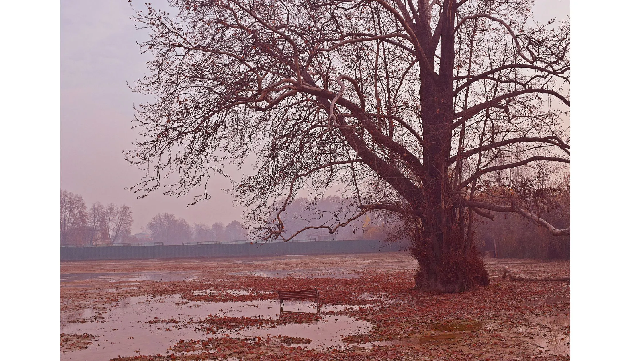 Autumn (September to November)